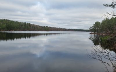 Notre traversé de la Suède et une chouette rencontre.